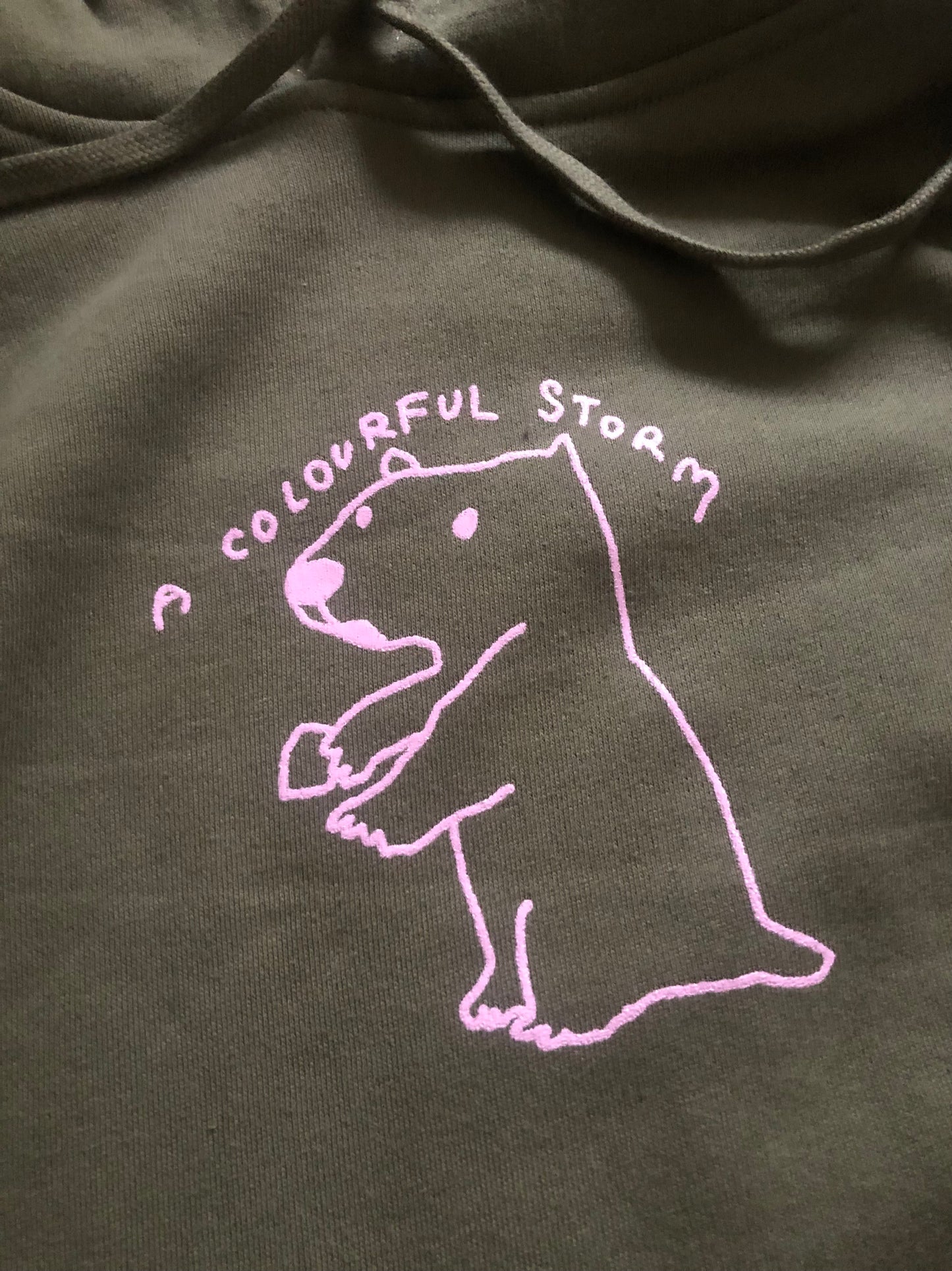 A Colourful Storm Capybara Olive Hoodie