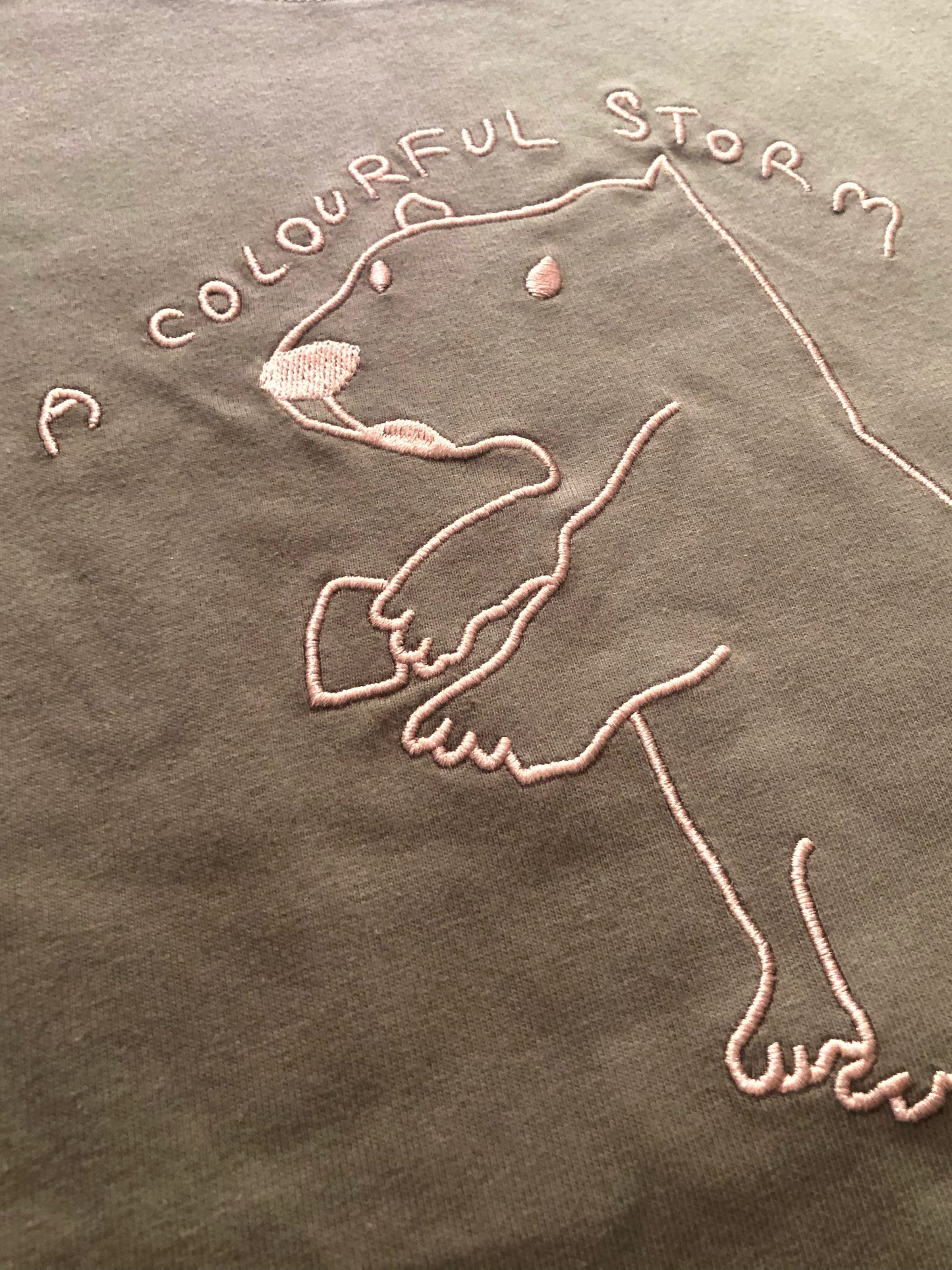 A Colourful Storm Capybara Oversized Tee