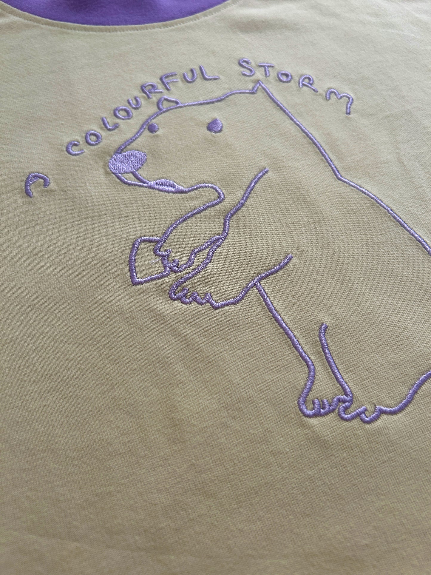 A Colourful Storm Capybara Cream and Lilac Oversized Tee