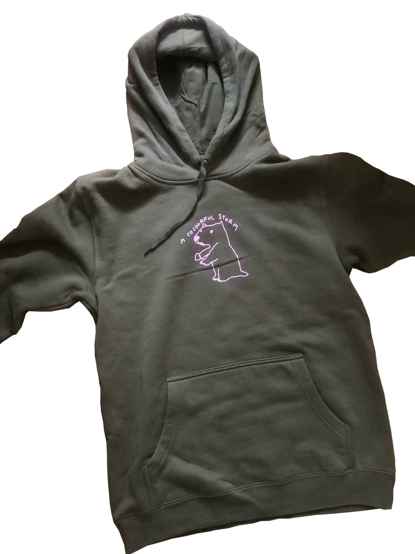 A Colourful Storm Capybara Olive Hoodie