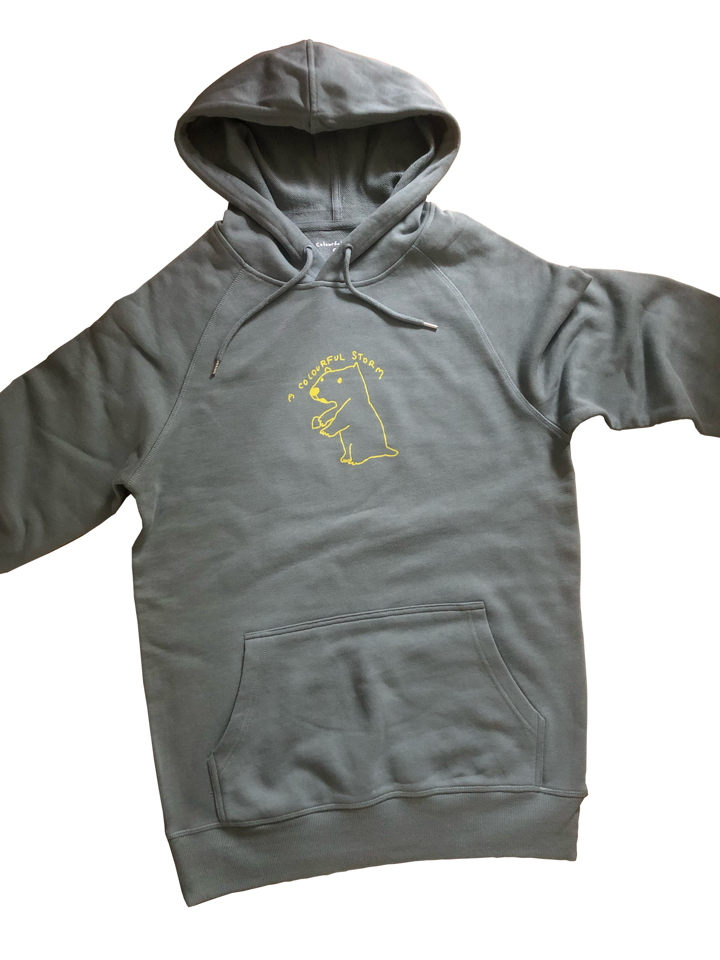 A Colourful Storm Capybara Blue Hoodie