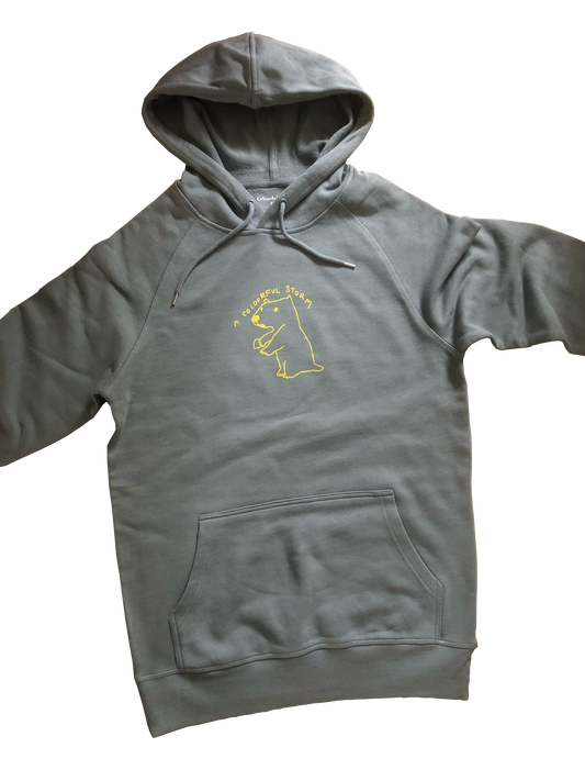 A Colourful Storm Capybara Blue Hoodie