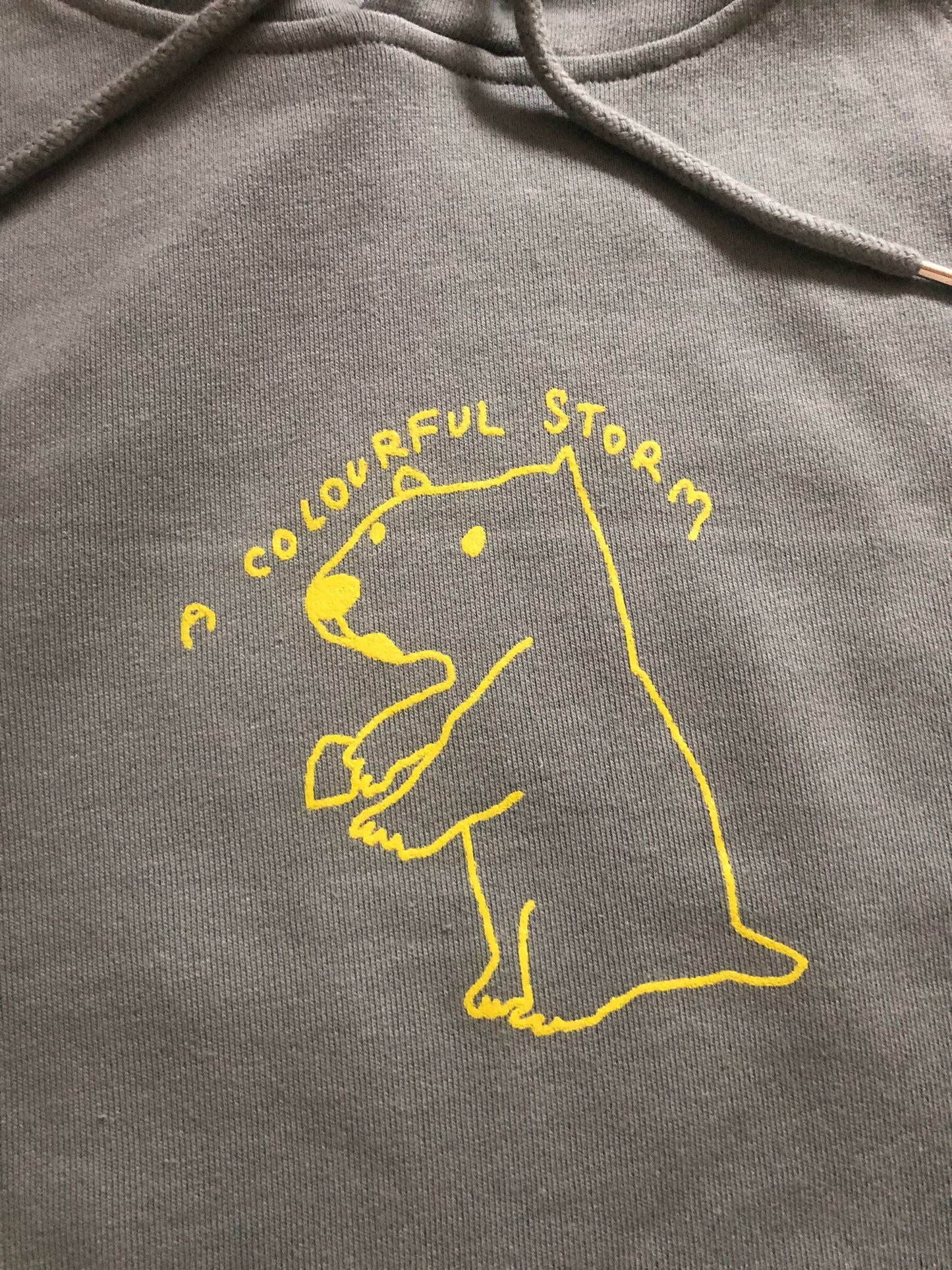 A Colourful Storm Capybara Blue Hoodie